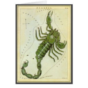 Zodiaque Vintage, Constellation Astrologique Scorp