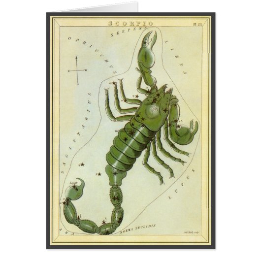 Zodiaque Vintage, Constellation Astrologique Scorp (Devant)