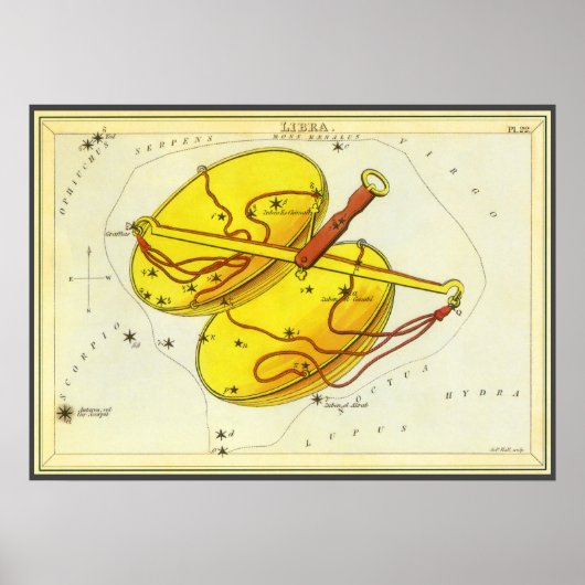  zodische astrologie-schelp-constellatie poster (Voorkant)