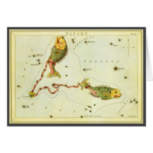  zodische strologie Pisces Fish Constellation