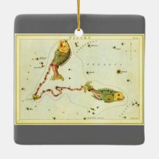 zodische strologie Pisces Fish Constellation Keramisch Ornament (Achterkant)