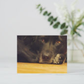 Zoe Briefkaart (Staand voorkant)