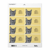 Zoe Cat met Bril op Gele Adreslabel Etiket (Full Sheet)