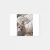 Zoe en Yoda Post-it® Notes (Voorkant)