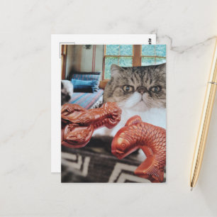 Zoe Kat Met Kreeft en Vis Collage Briefkaart