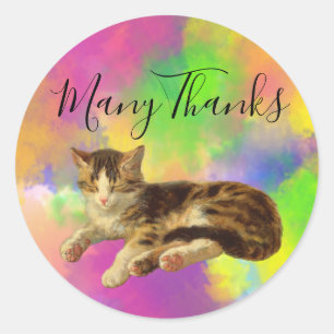 Zoe Kitten Retro Katten Veel Dank Abstract Regenbo Ronde Sticker