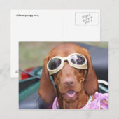 Zoe Ready to Ride Briefkaart (Voorkant / Achterkant)