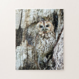 Zoek de Owl Legpuzzel