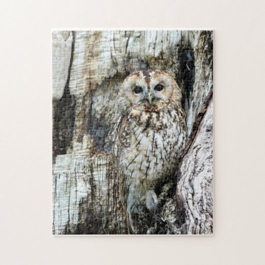 Zoek de Owl Legpuzzel (Verticaal)