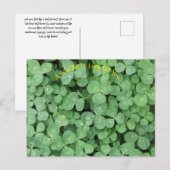 Zoek de vier bladklavers briefkaart (Voorkant / Achterkant)