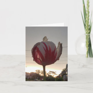 Zoek een baan, Hippie Kaart