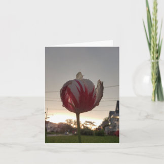 Zoek een echte baan, Hippie Kaart