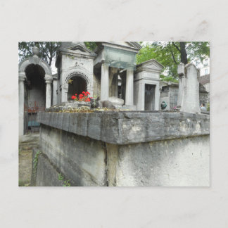 Zoek een kat! briefkaart