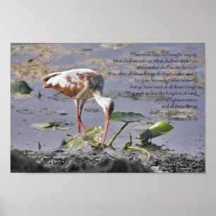 Zoek eerst het koninkrijk van Gods Schrift Poster