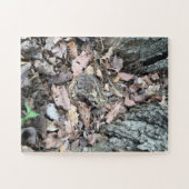 Zoek en ontdek een overmaatse puzzel met 30 stuks, legpuzzel (Horizontaal)