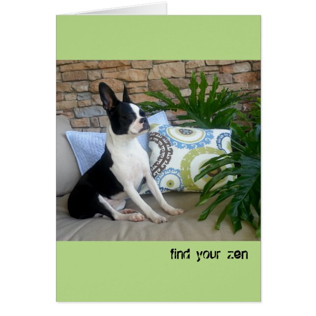 Zoek uw Zen - BLANK CARD Lola B. Boston (Voorkant)