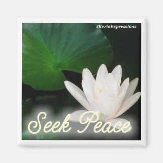 Zoek Vredesmagneet Magneet