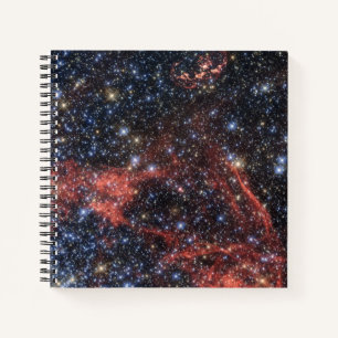 Zoeken naar overlevende van een supernova-explosie notitieboek