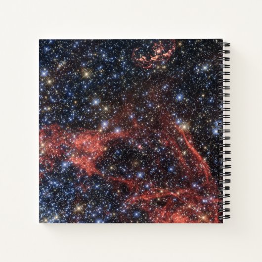 Zoeken naar overlevende van een supernova-explosie notitieboek (Achterkant)