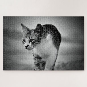 zoekende kat puzzel