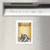 Zoekopdracht Magneet (Insitu (Vaatwasser))