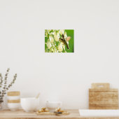 Zoemende Vogel Poster (Keuken)