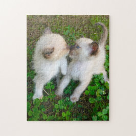 zoenende katjes legpuzzel