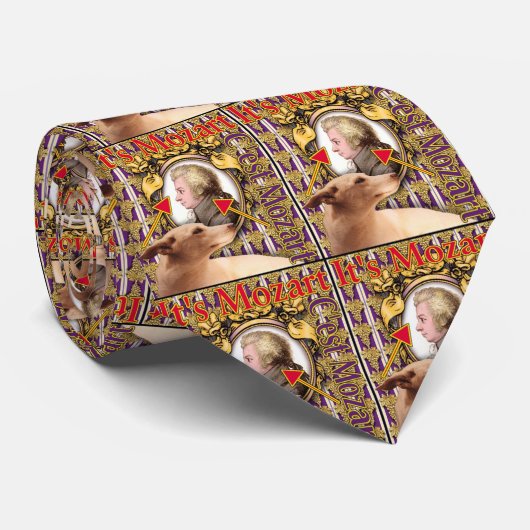 ZoeSPEAK - Mozart Stropdas (Opgerold)