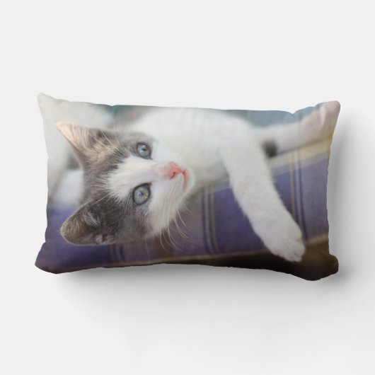 Zoet Kat in speldenstaaf Kussen (Achterkant)