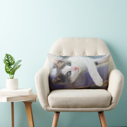 Zoet Kat in speldenstaaf Kussen (Stoel)