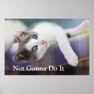 Zoet Kat in speldenstaaf Poster