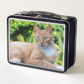 Zoet klein kat (Voorkant)