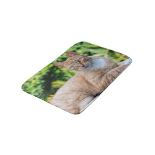 Zoet klein kat badmat