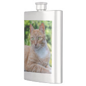 Zoet klein kat flacon (Links)