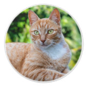 Zoet klein kat keramische knop (Voorkant)