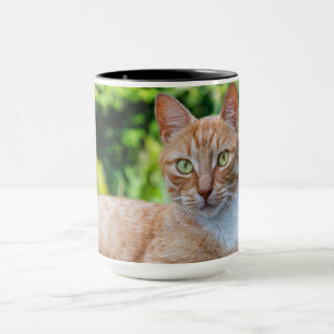 Zoet klein kat mok