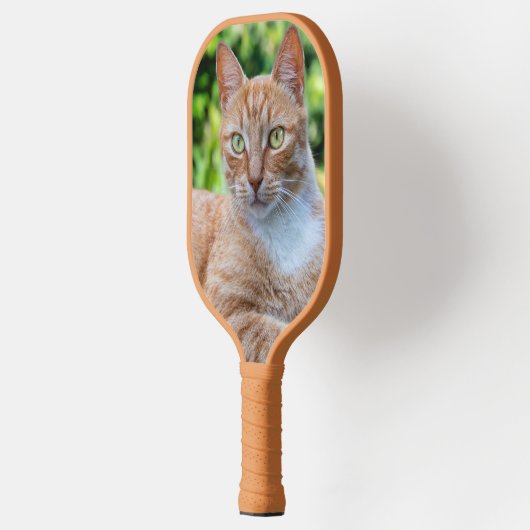 Zoet klein kat pickleball paddle (Links)