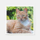 Zoet klein kat servet (Voorkant)