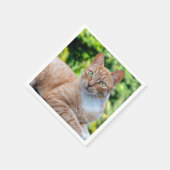 Zoet klein kat servet (Hoek)