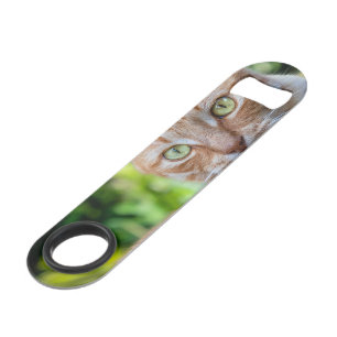 Zoet klein kat speed flessenopener