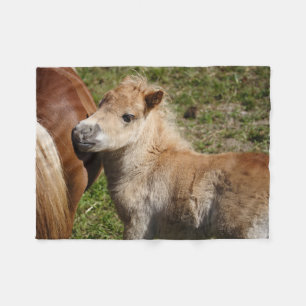 Zoet Veulen Haflinger Fleece Deken