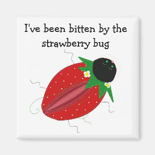 Zoete Aardbeibug Magneet