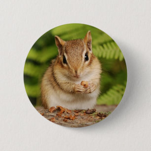zoete baby chipmunk ronde button 5,7 cm