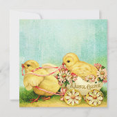 Zoete Baby kippen Paspoortkaarten Personaliseren t Feestdagenkaart (Voorkant)