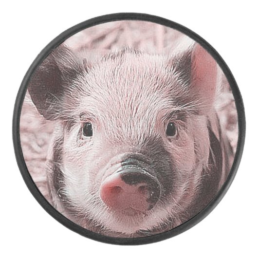 zoete biggetje hockey puck (Voorkant)