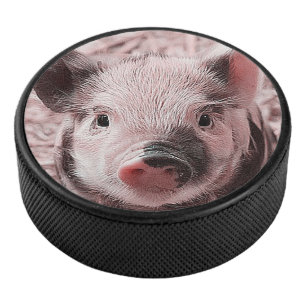 zoete biggetje hockey puck