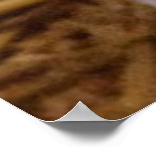 zoete biggetje poster (Hoek)