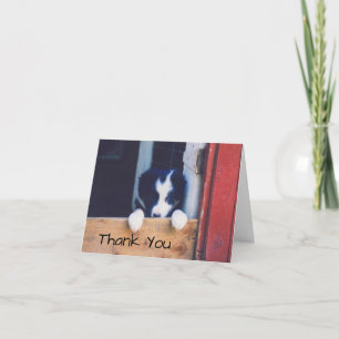 Zoete Border Collie Puppy Hond Bedankkaart