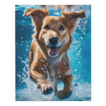 Zoete bruine en witte hond spatten in het water