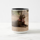 Zoete chocolade labrador retriever puppy mok (Midden)